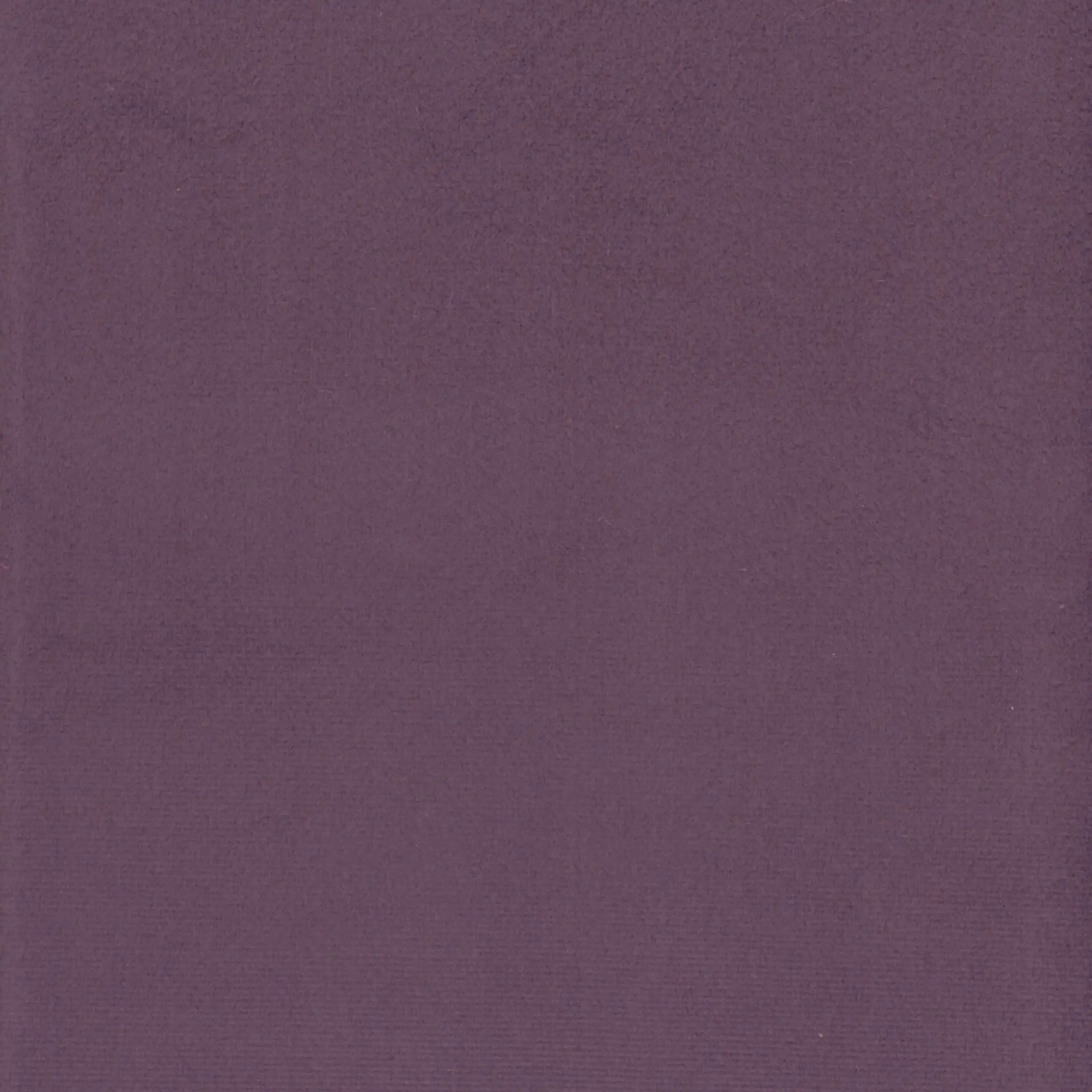 Plum 25 | Scot