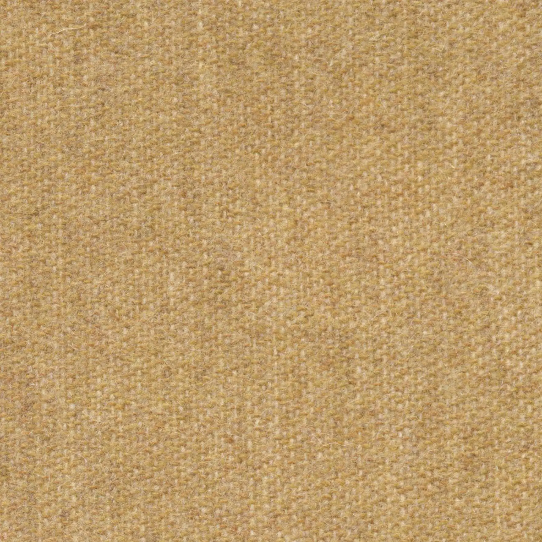 Putty 484 | Savoy FR