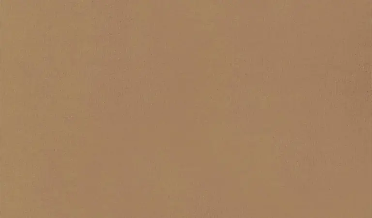 Camel 60