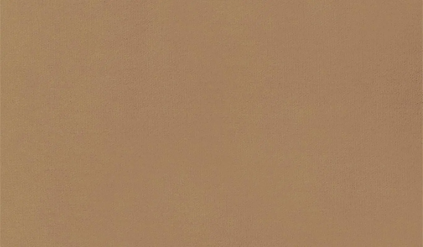 Camel 60 | Renard