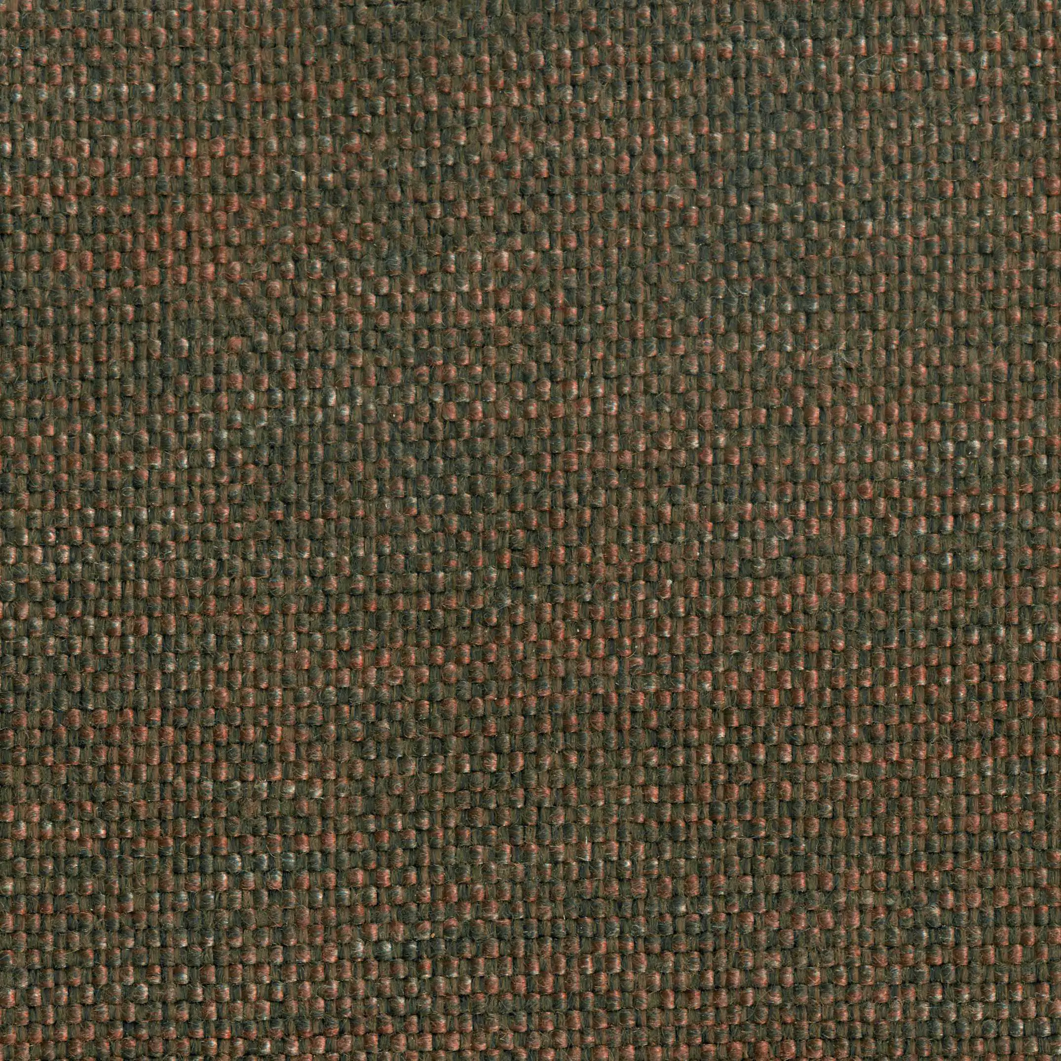 11014 | Mango