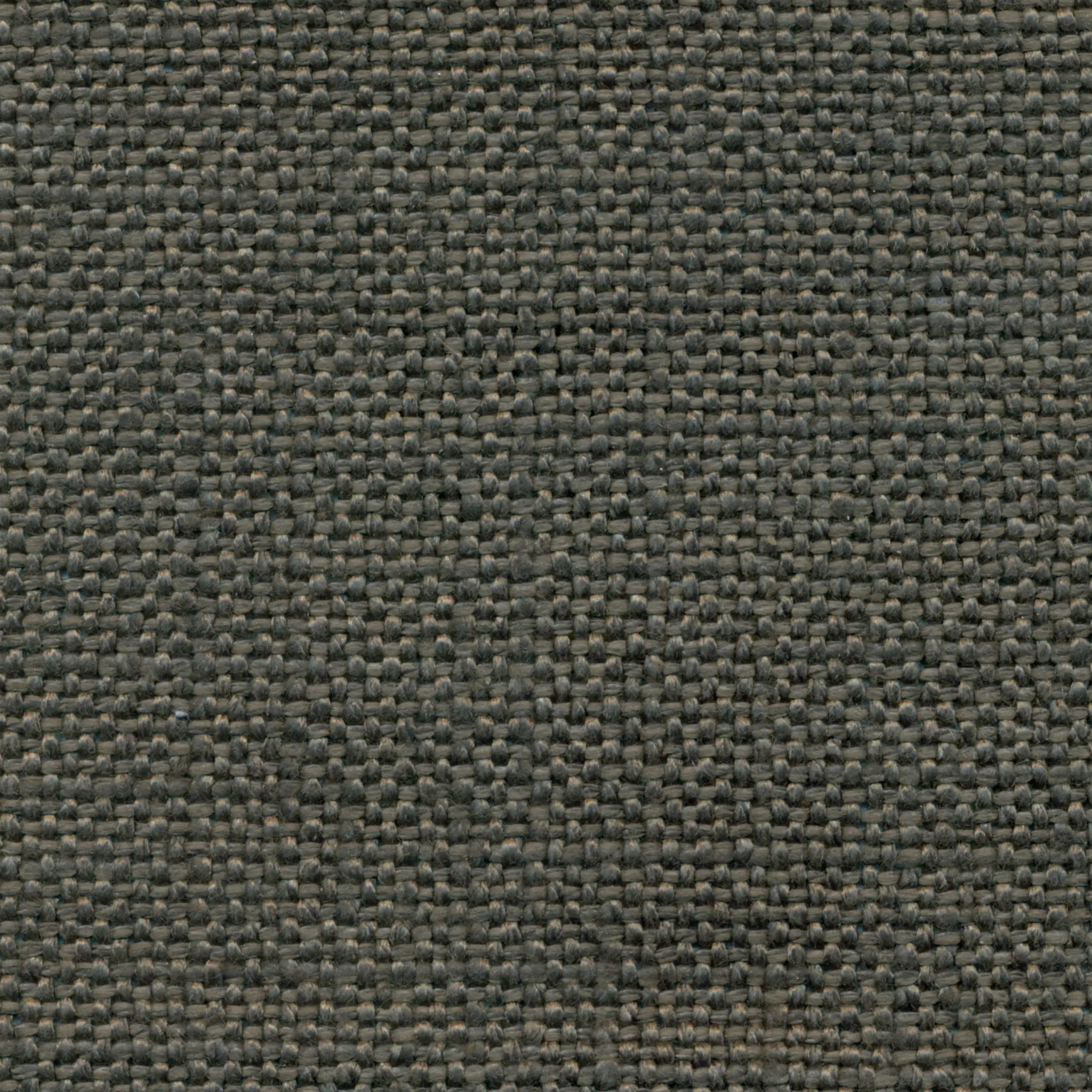 Pewter 15 | Salma