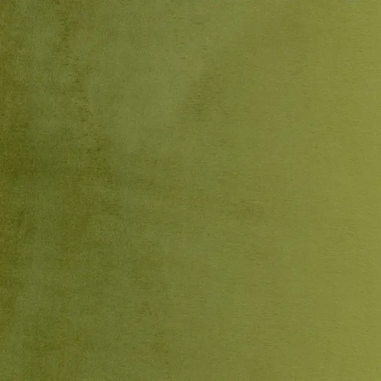 Olive 18