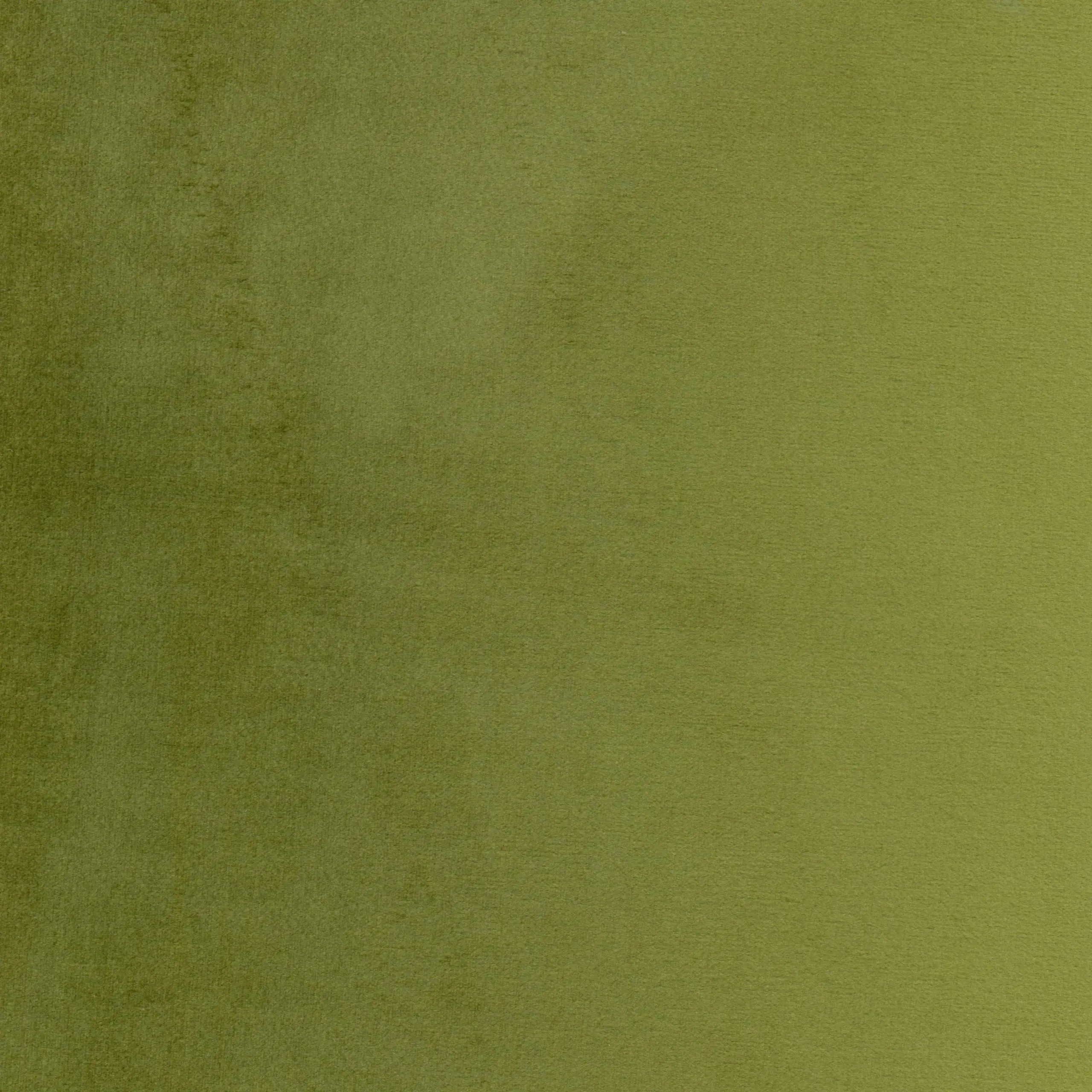Olive 18 | Jason