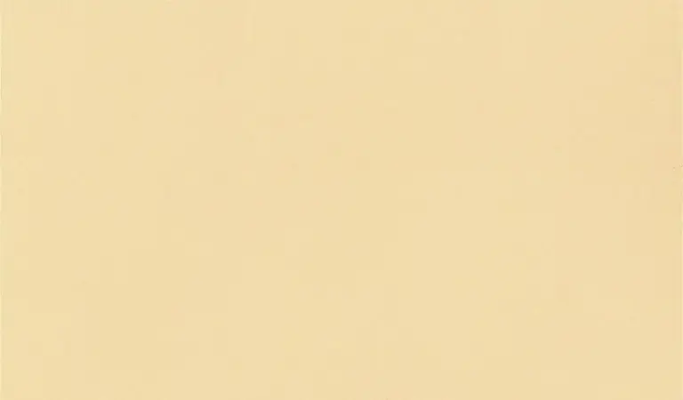 Ivory 19