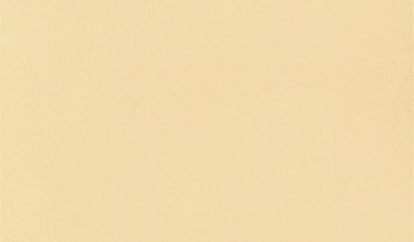 Ivory 19 | Renard