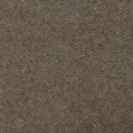 Cacao 489 | Savoy FR