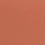Baked Clay 51 | Leda