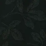 Onyx 01 | Leonard