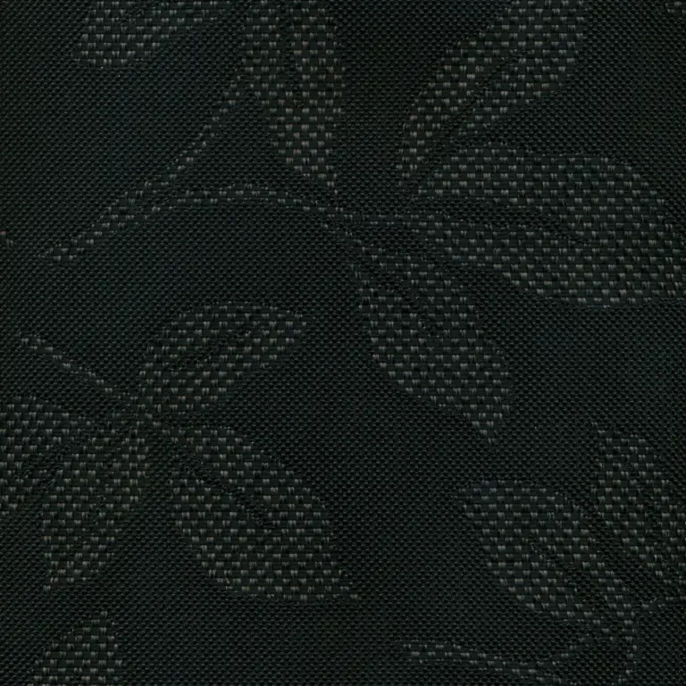 Onyx 01