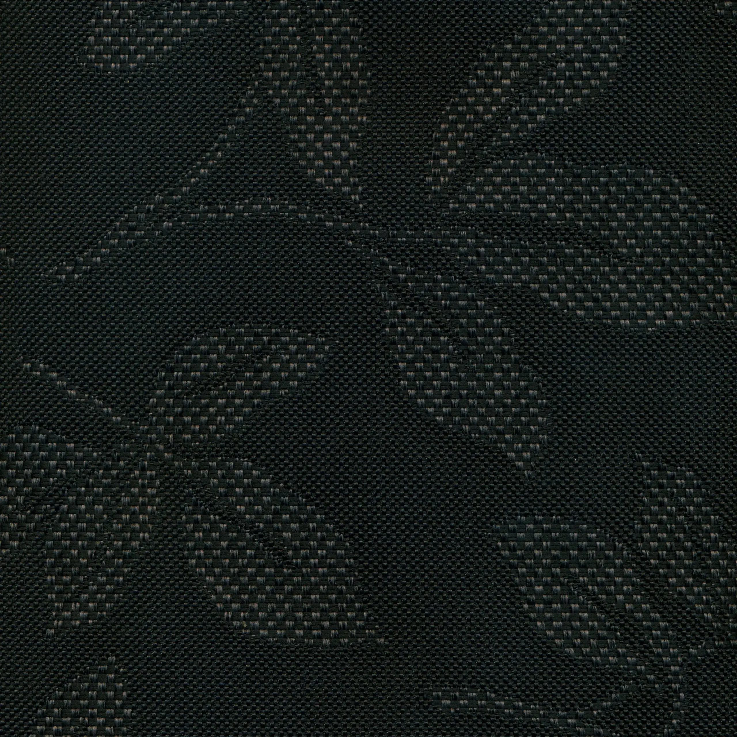 Onyx 01 | Leonard