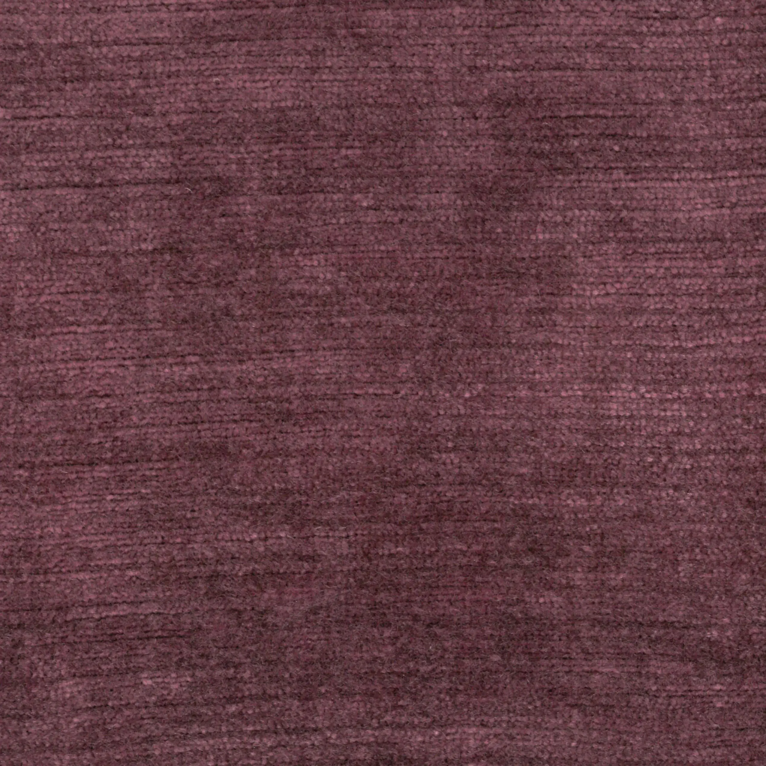 Aubergine 25 | Lavender