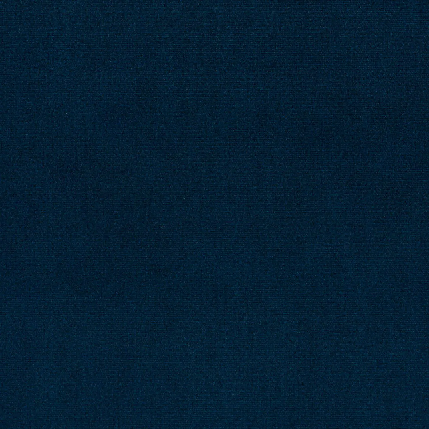 Navy Blue 72 | Plato