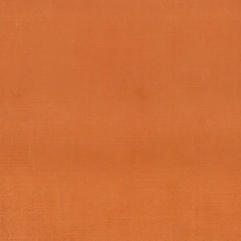 Apricot 333