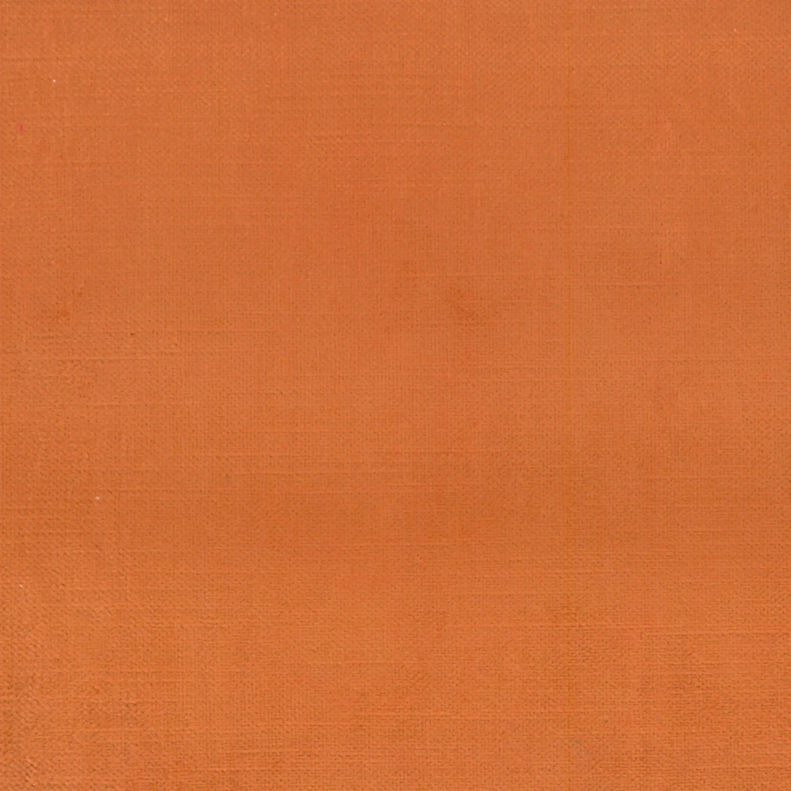 Apricot 333 | York