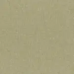 Twig 24 | Ponza