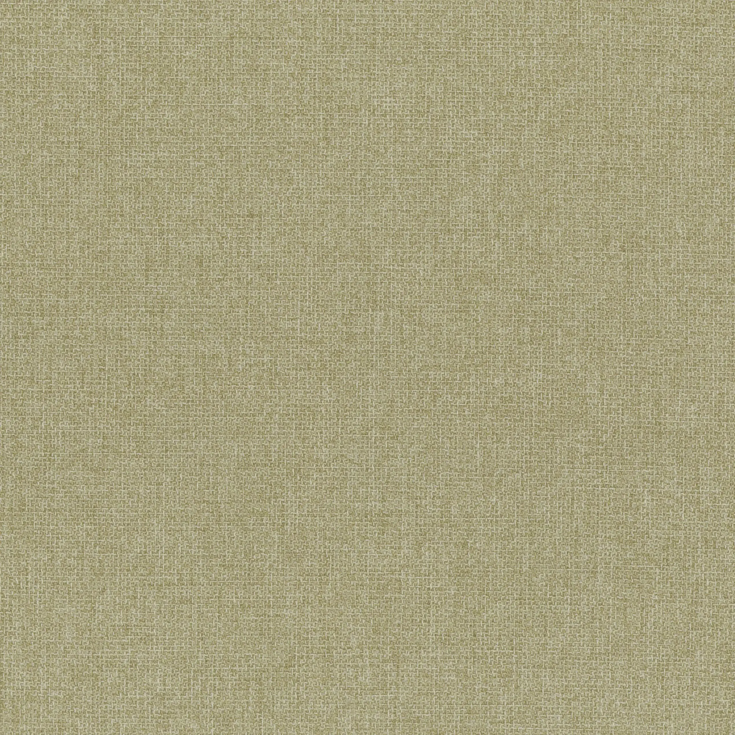 Twig 24 | Ponza