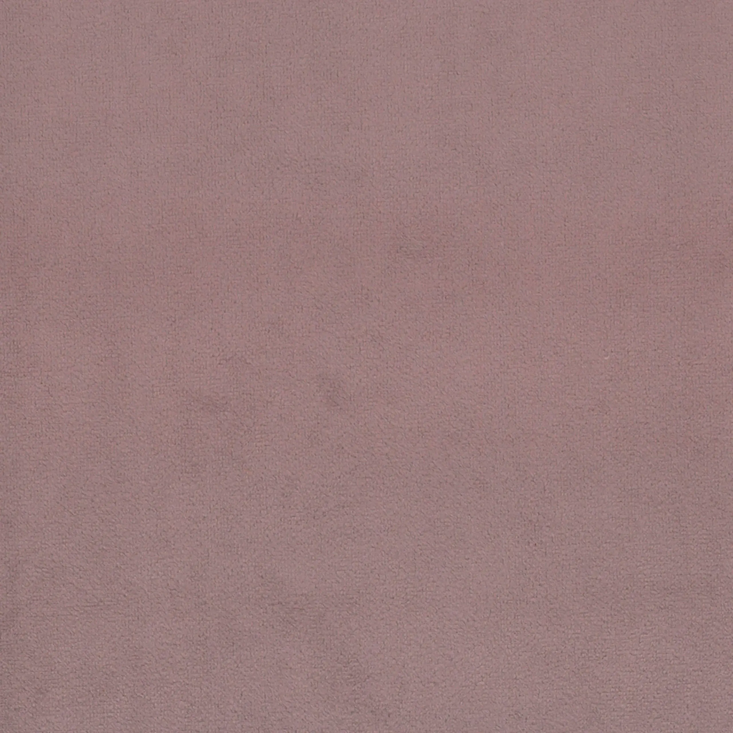 Hyacinth 07 | Scot