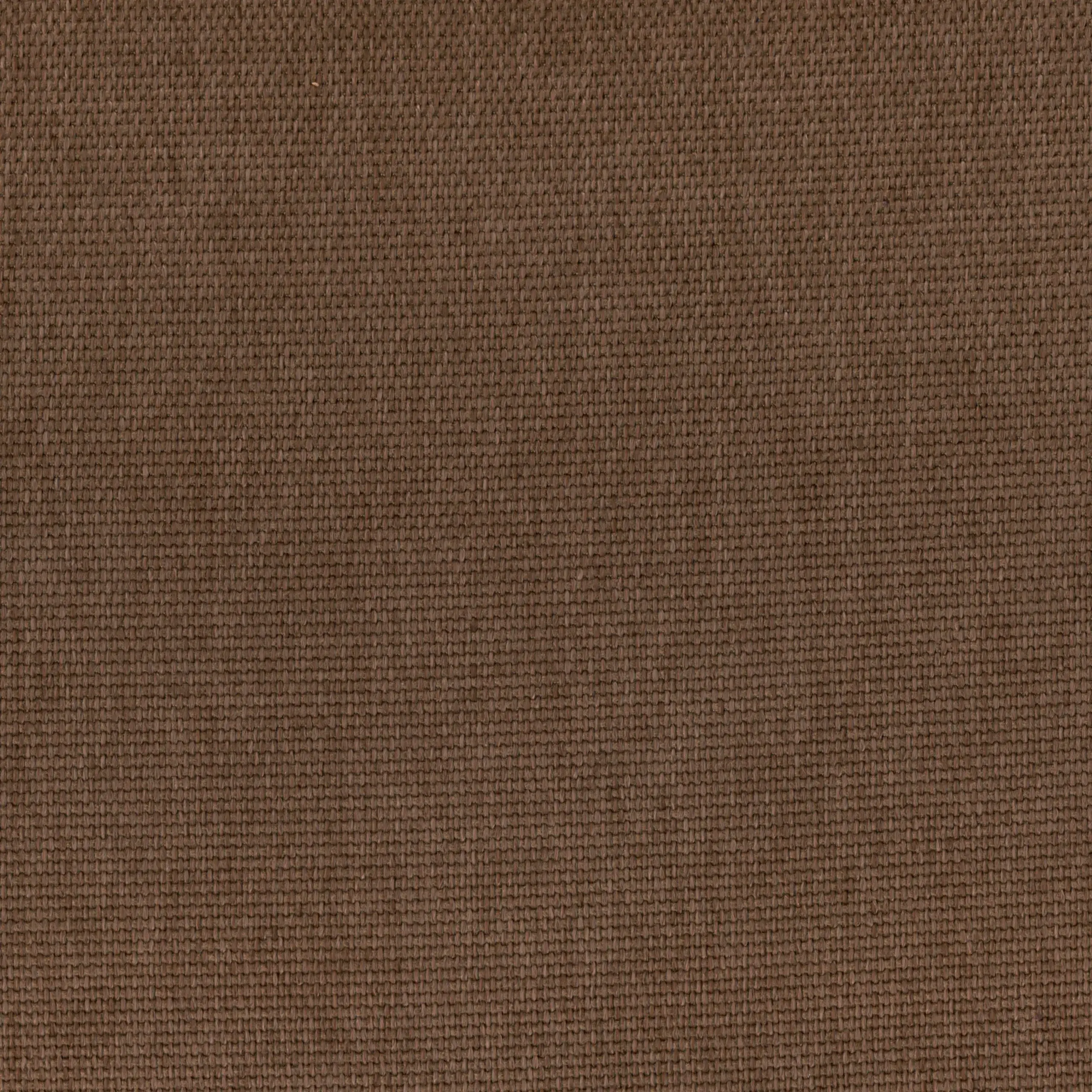 Chocolate 400 | Sarah
