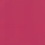Sorbet 41 | Ringo