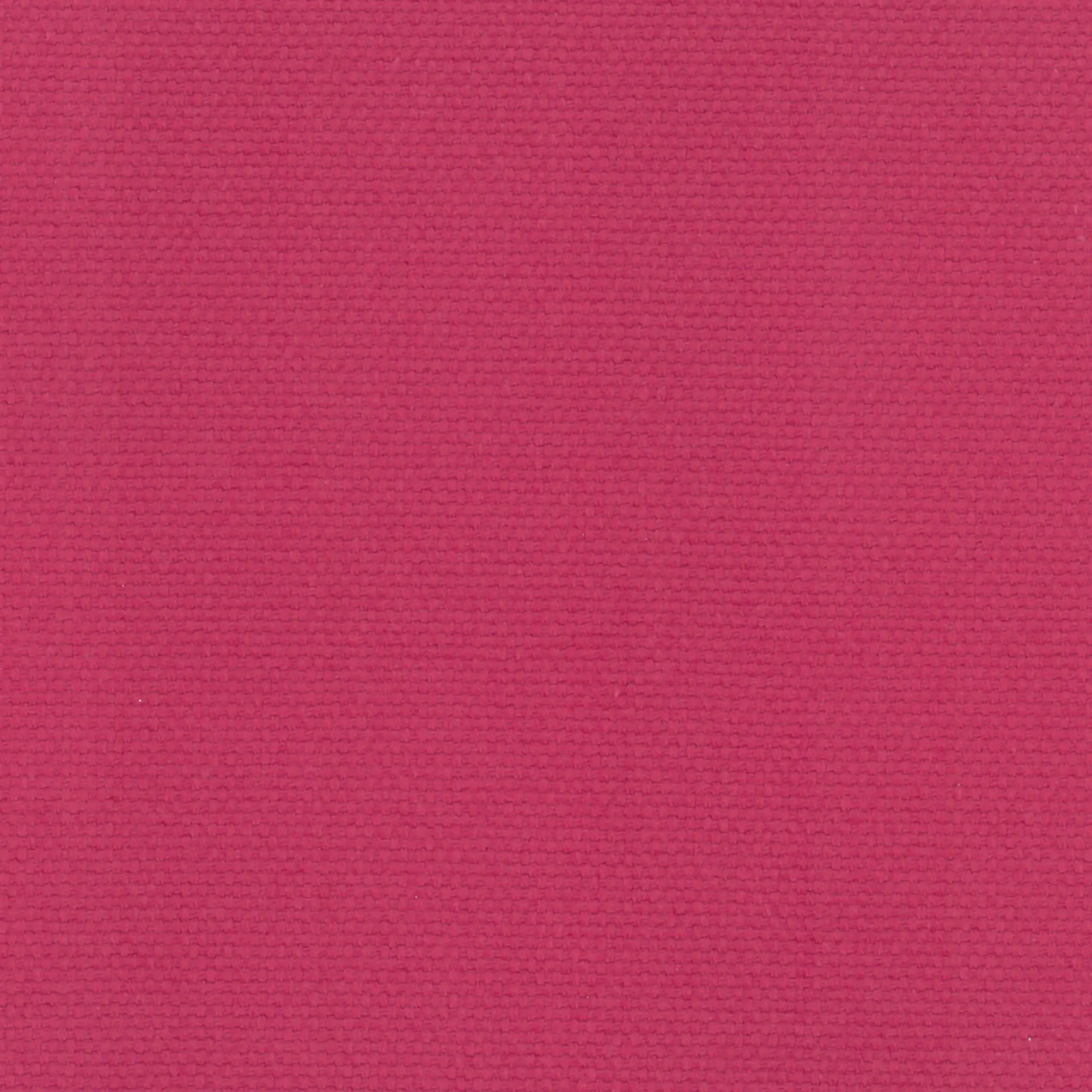 Sorbet 41 | Ringo