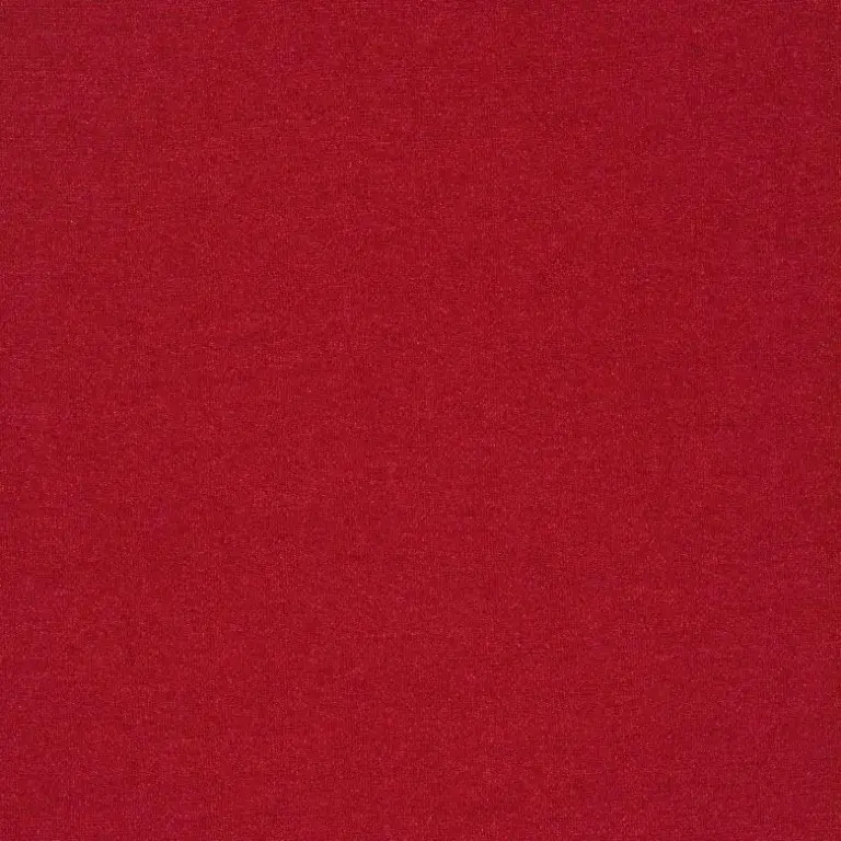 Raspberry 26
