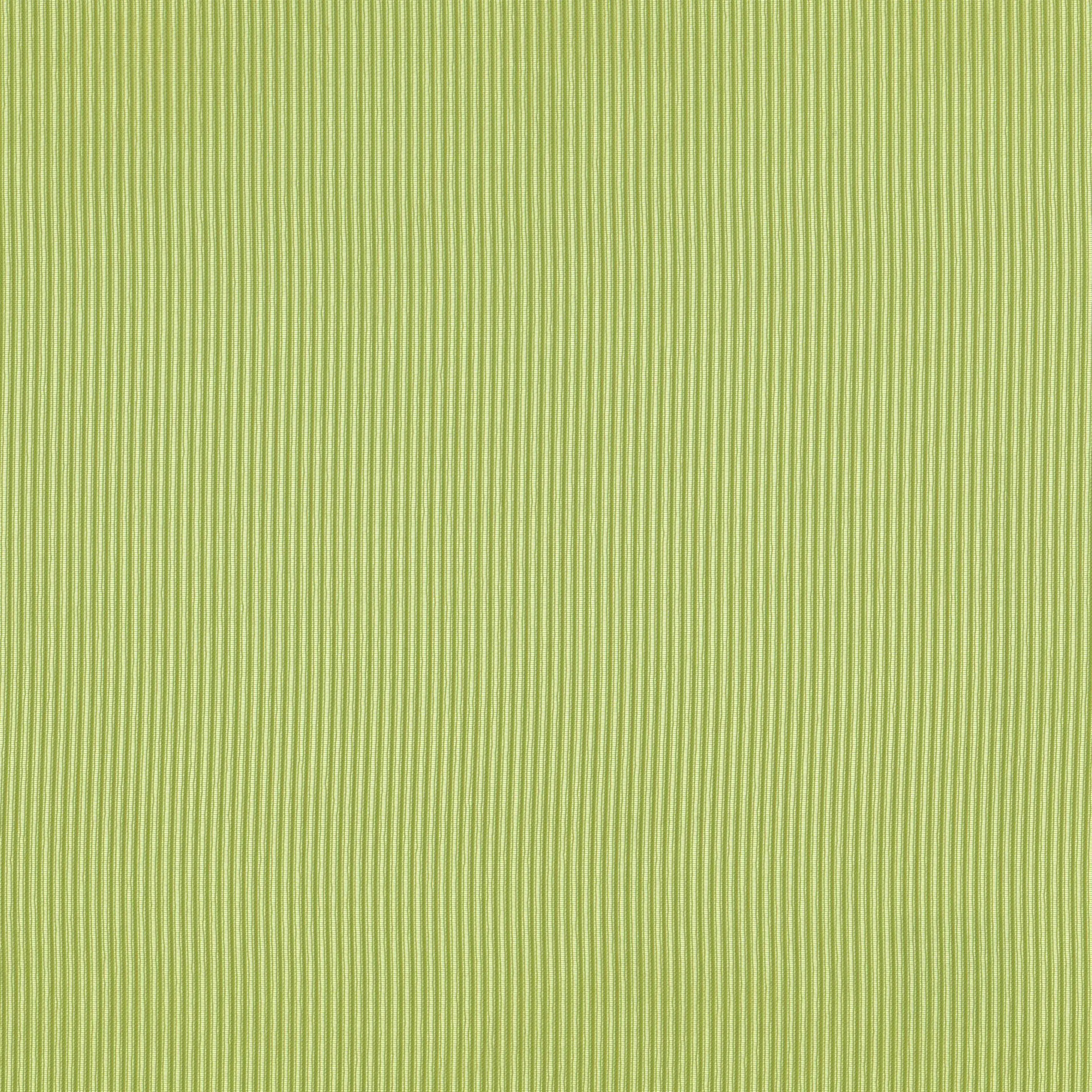 Olive 38 | Rita
