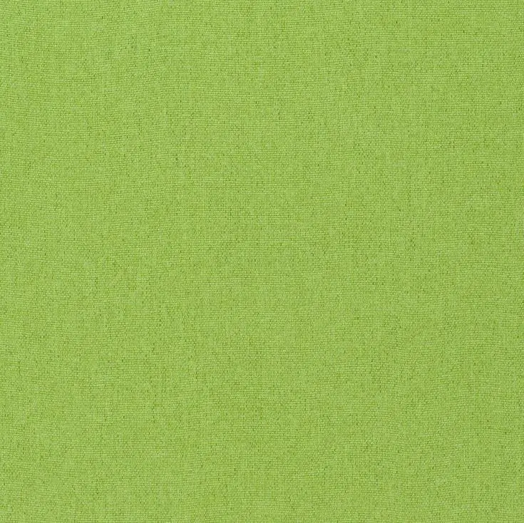Kiwi 54