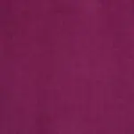 Fuchsia 29 | Rainer