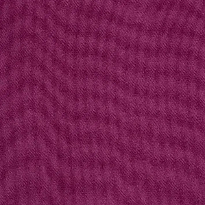 Fuchsia 29 | Rainer