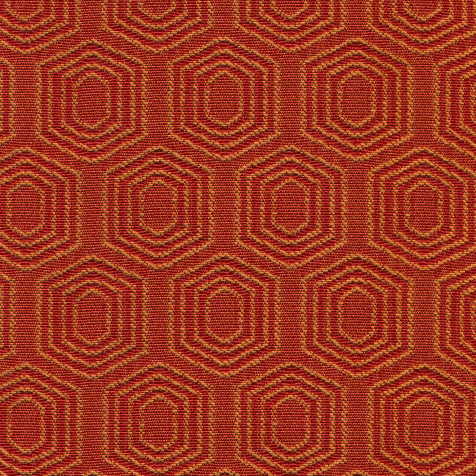 Tangerine 35 | Vigor