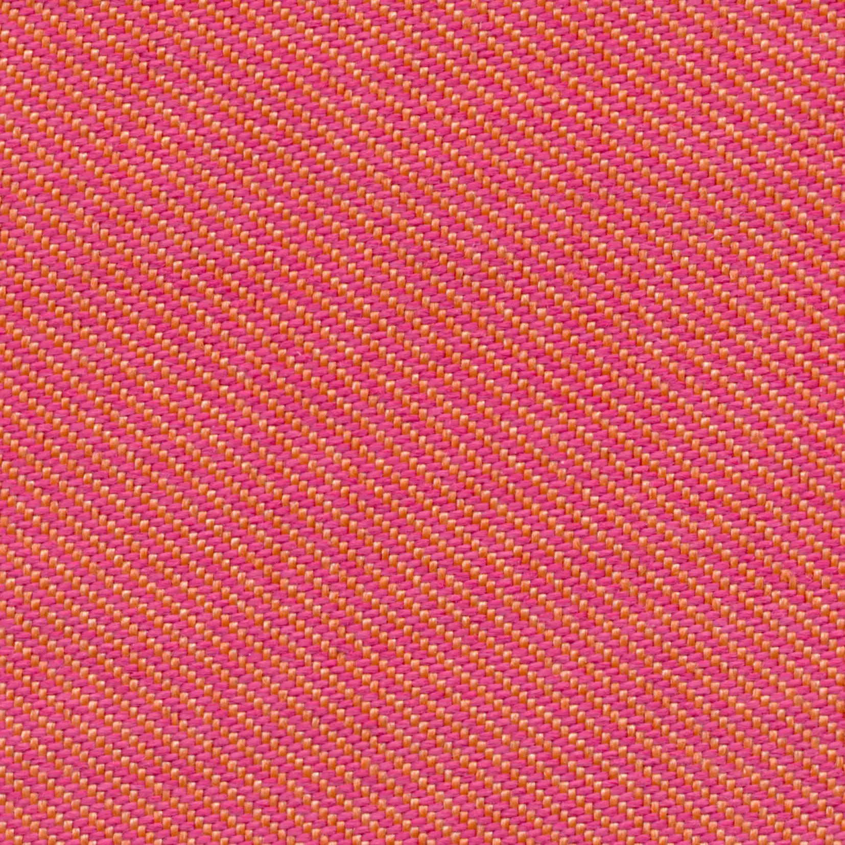 Confetti 39 | Sator