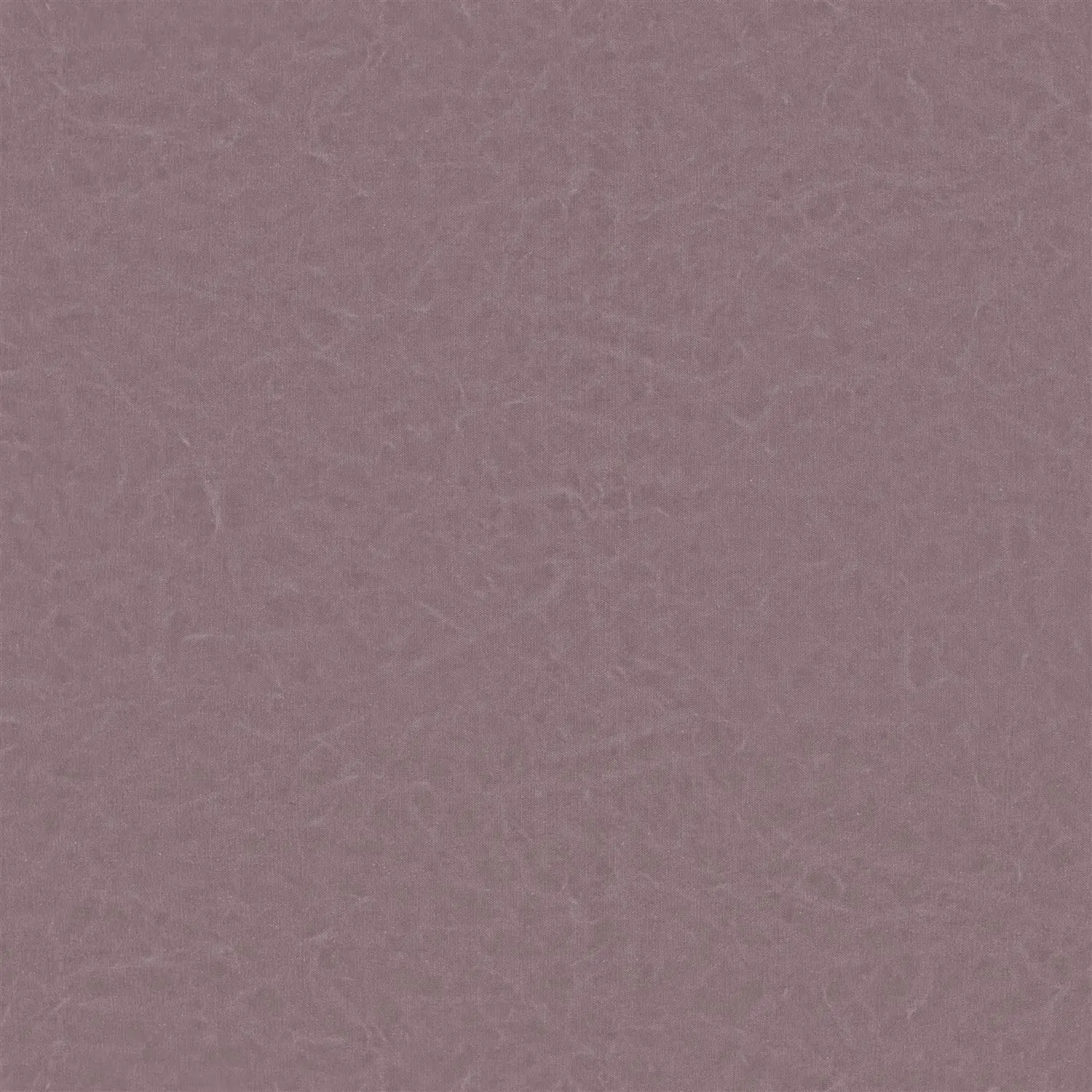 Avocado 359 | Stonewash