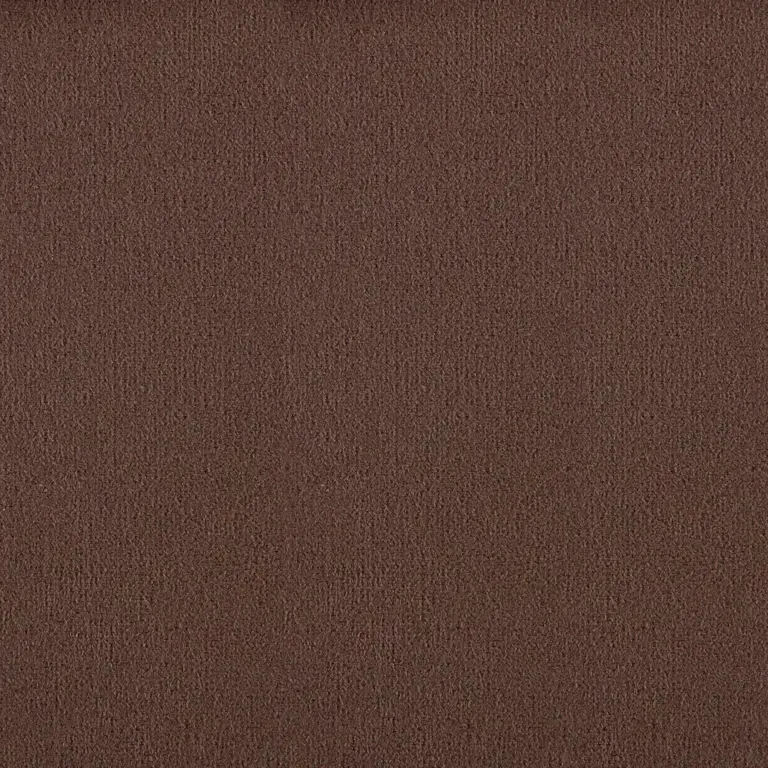 Cocoa 031