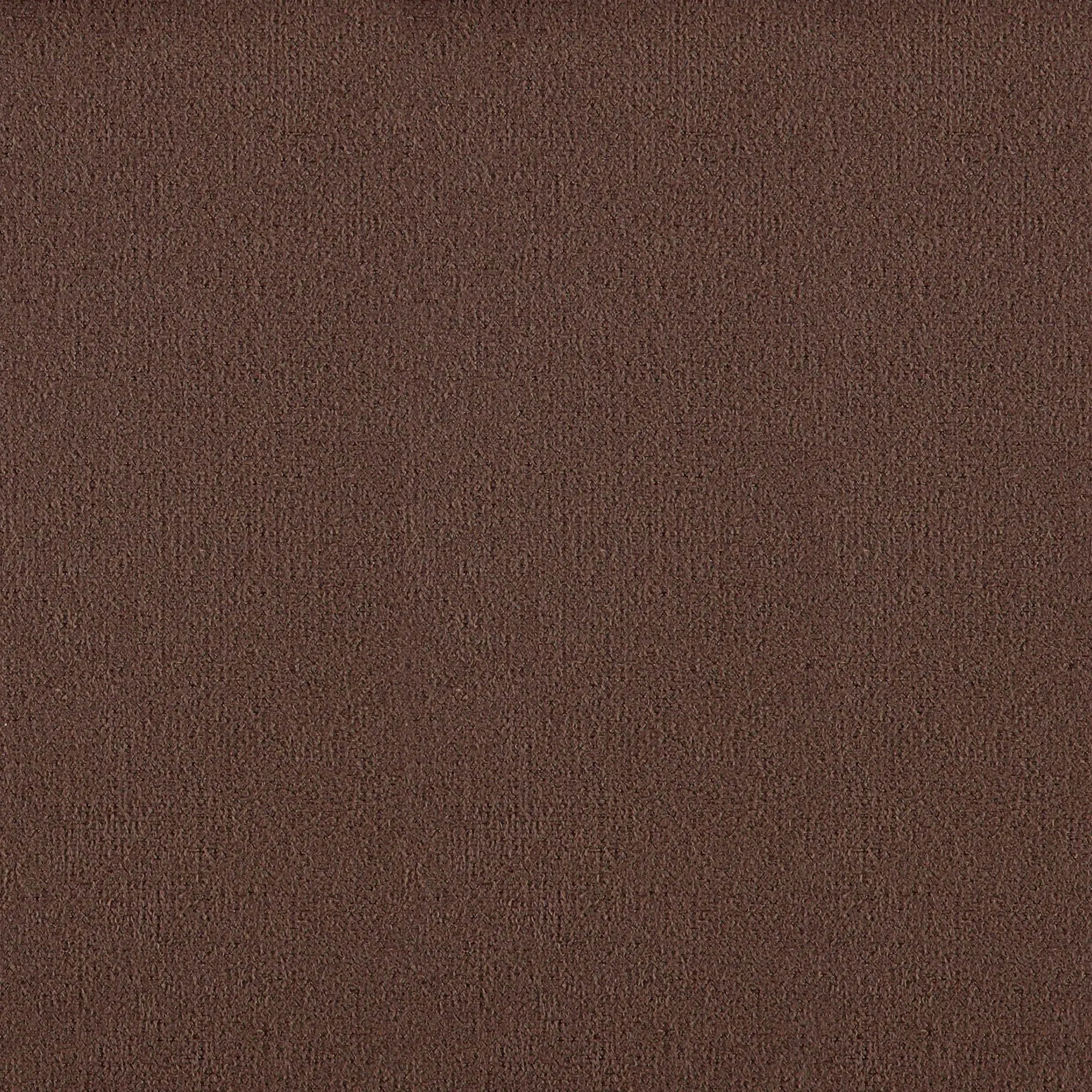 Cocoa 031 | Leader
