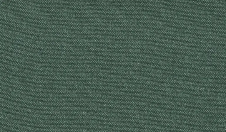 Petrol 29
