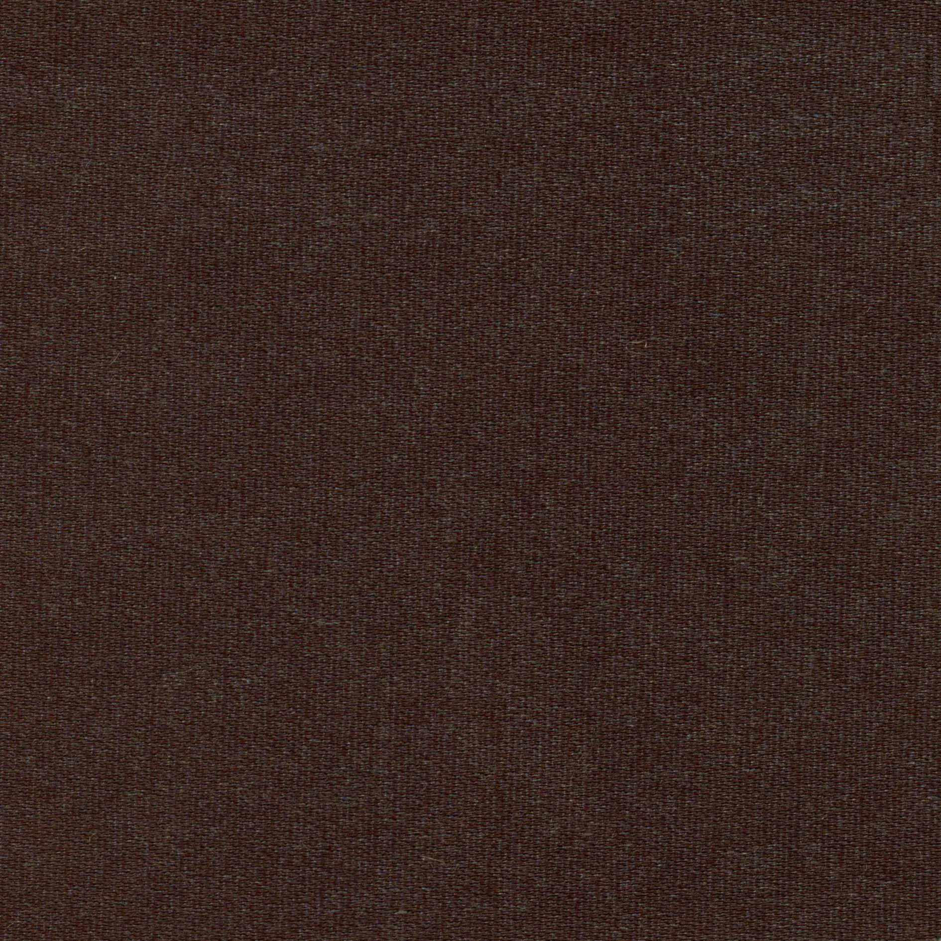Chocolate 23 | Melba