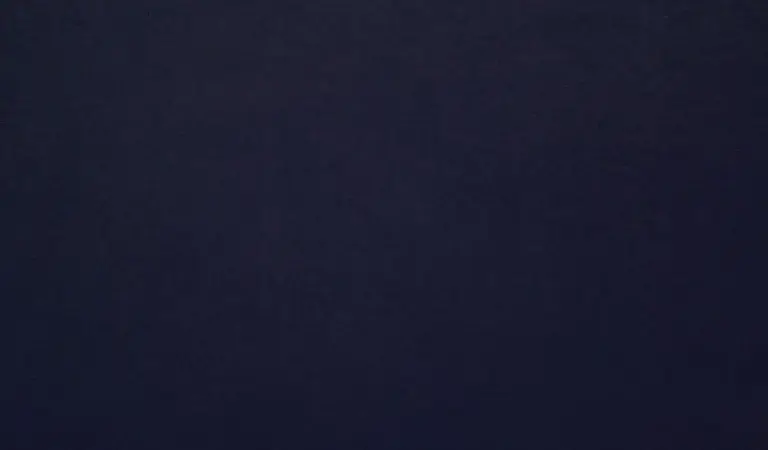 Insignia Blue 41