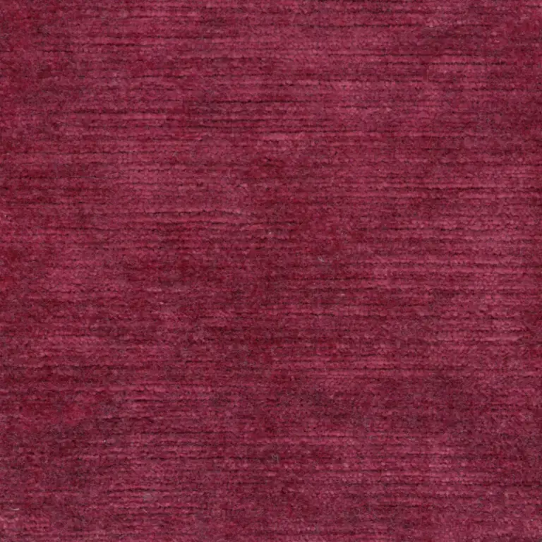 Fuchsia 16