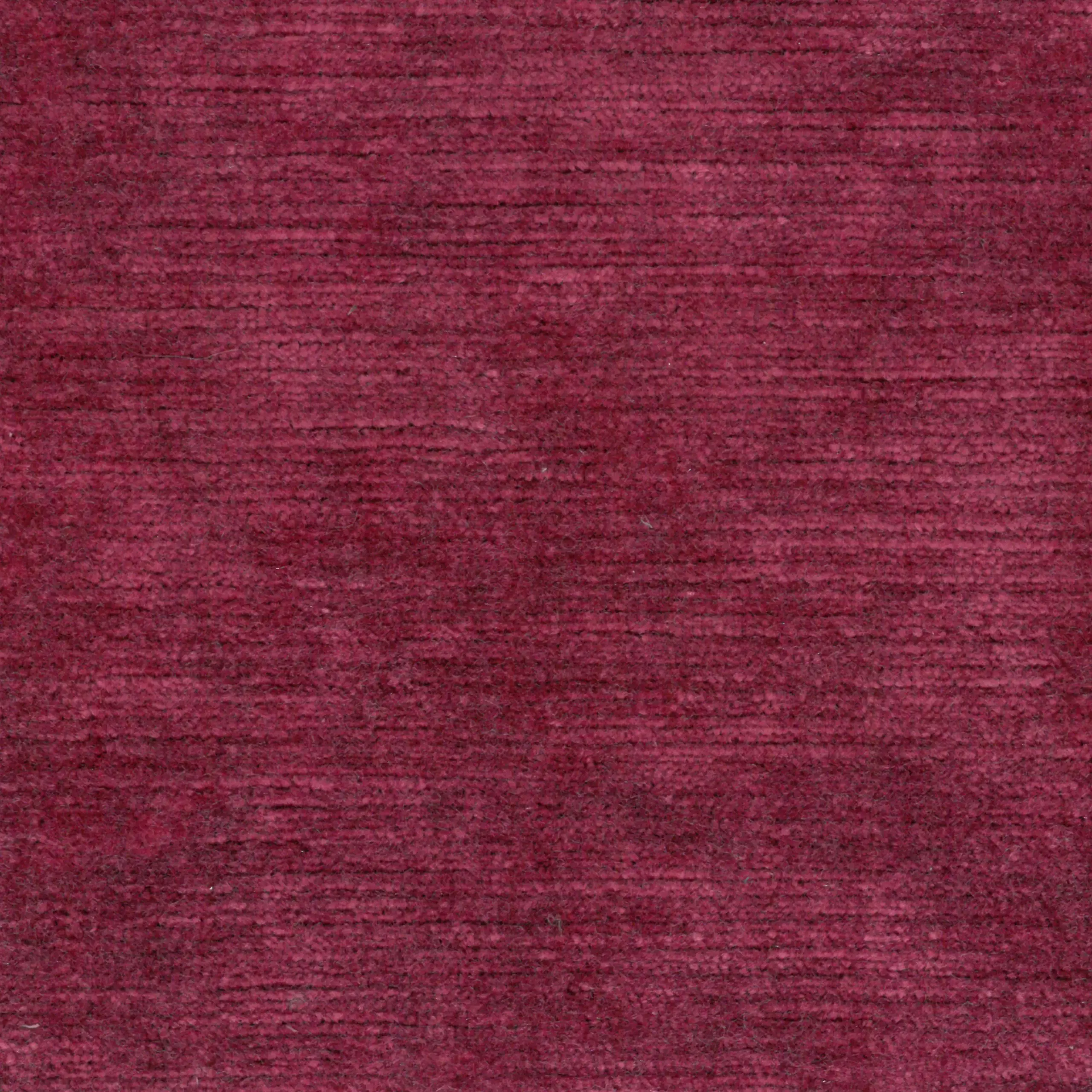 Fuchsia 16 | Lavender