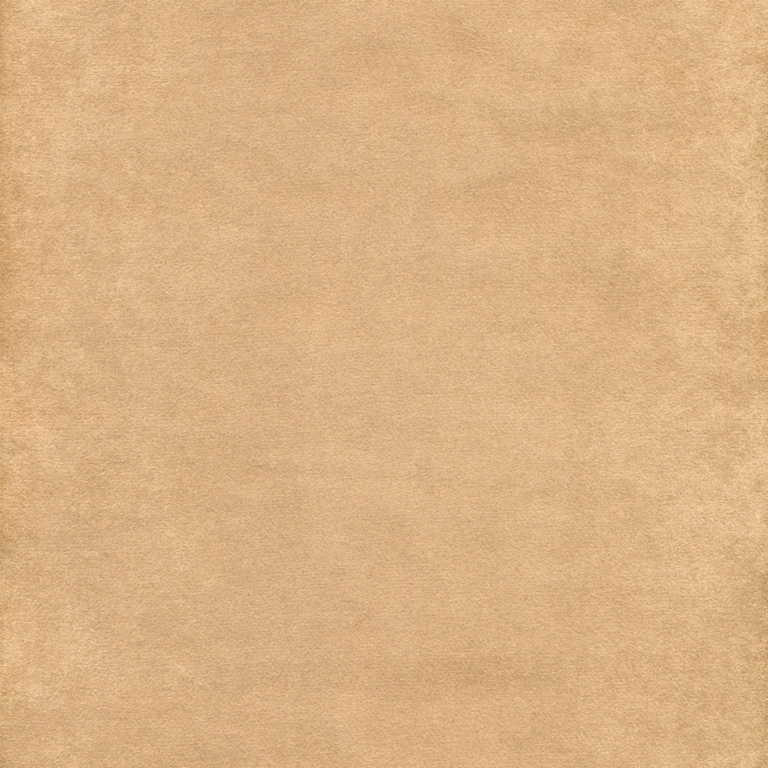 Camel 05