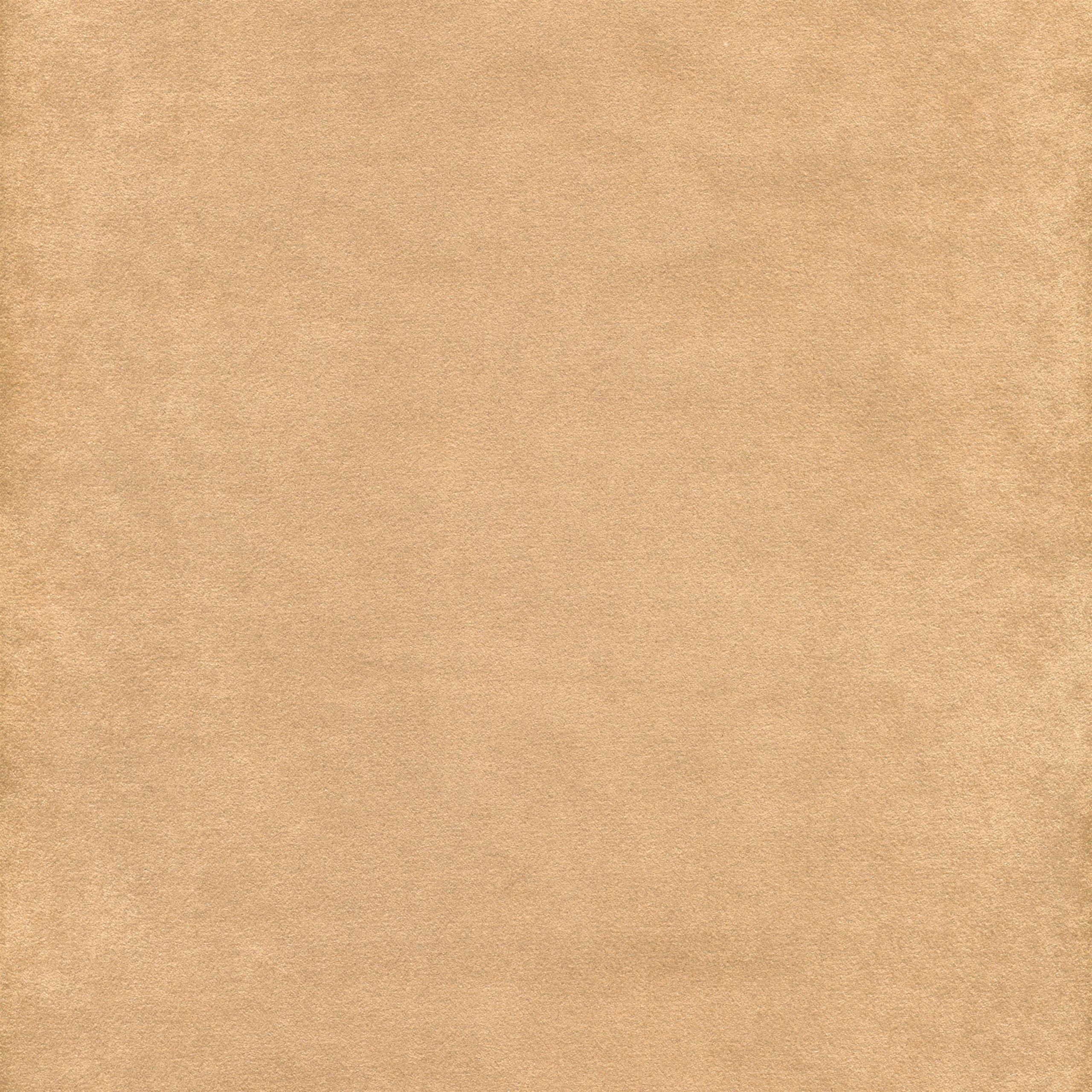 Camel 05 | Samanta