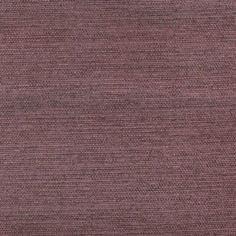 Iris 10