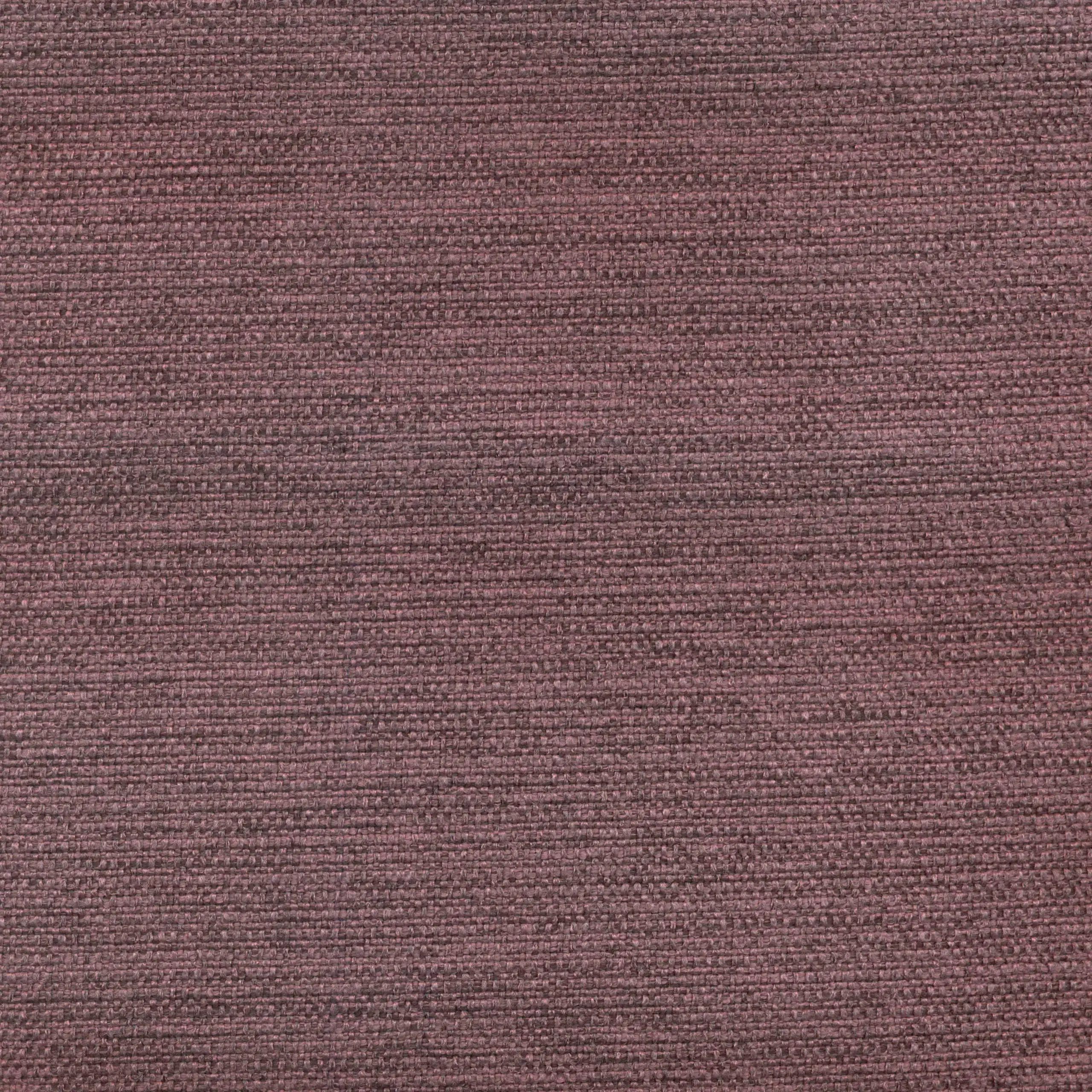 Iris 10 | Linthic