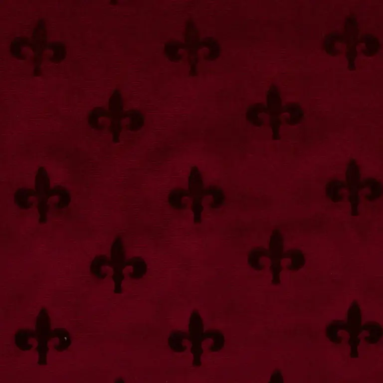 Vino 10