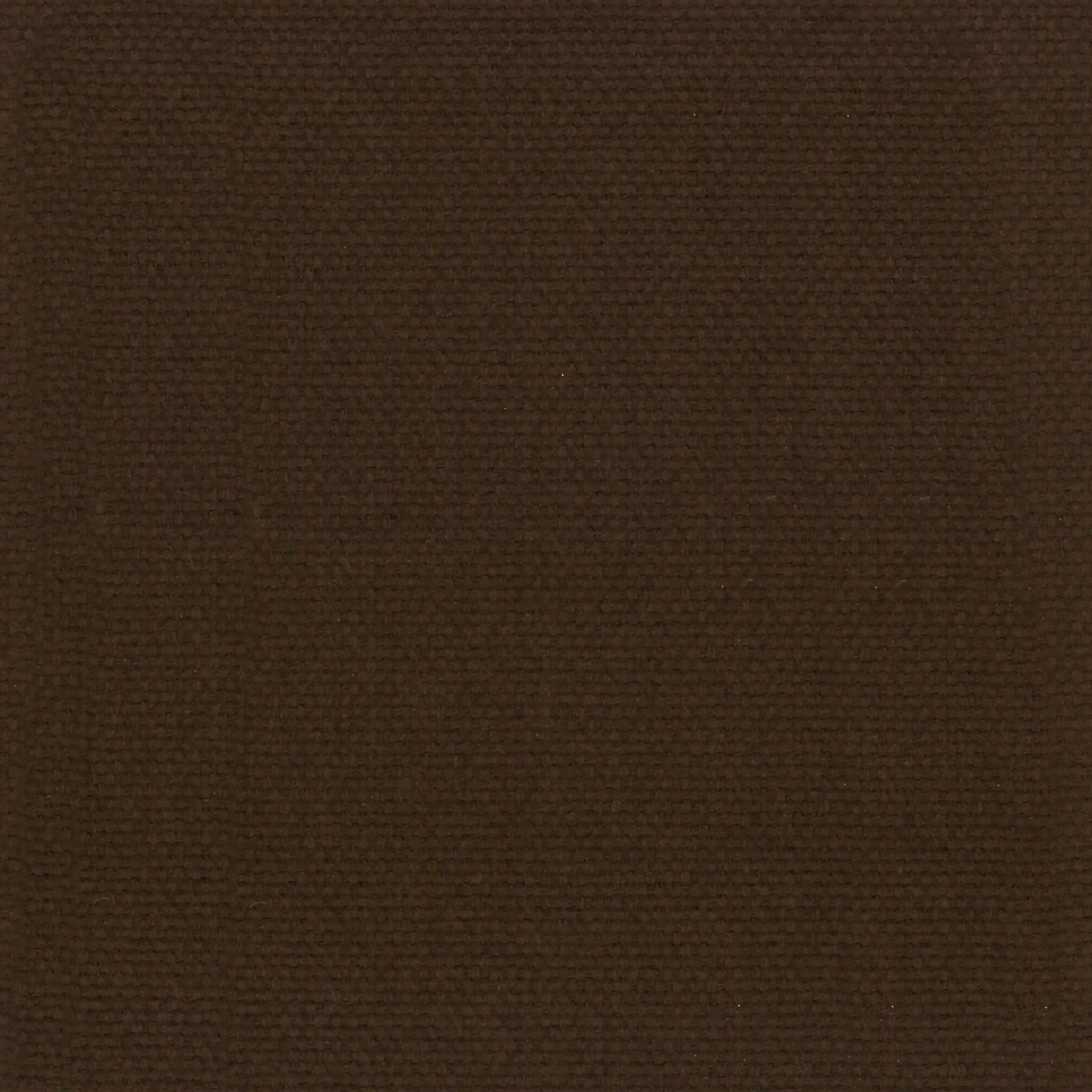 Chocolate 40 | Ringo
