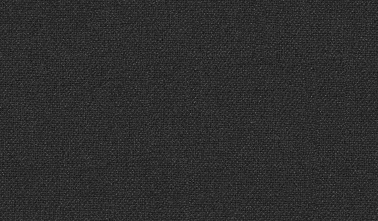 Pebble 5