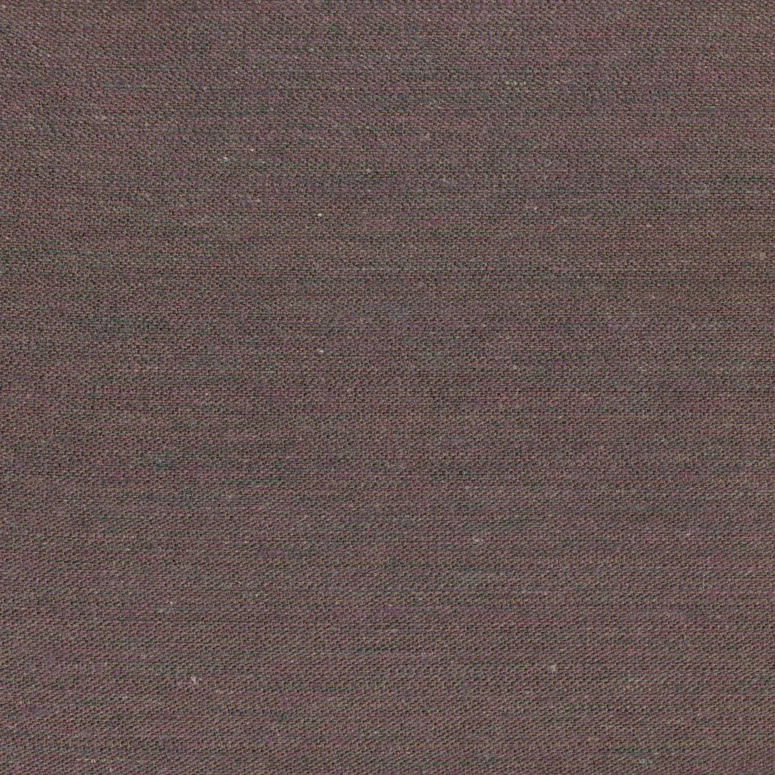 Violet 154 | Lazar