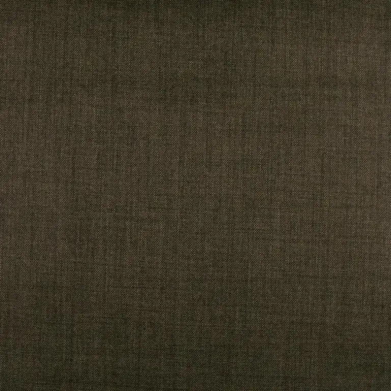 Chestnut 10