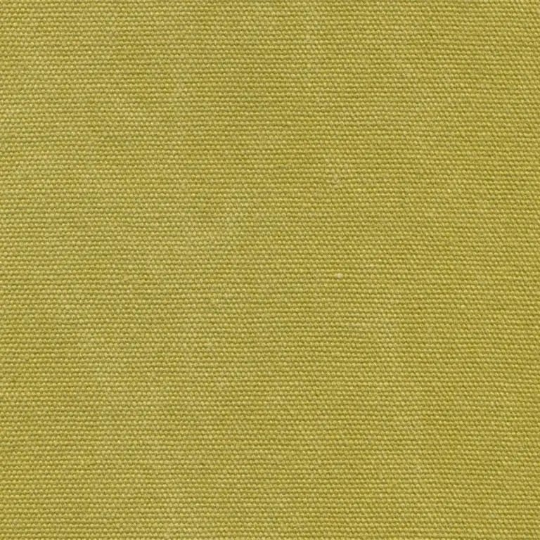 Avocado 359